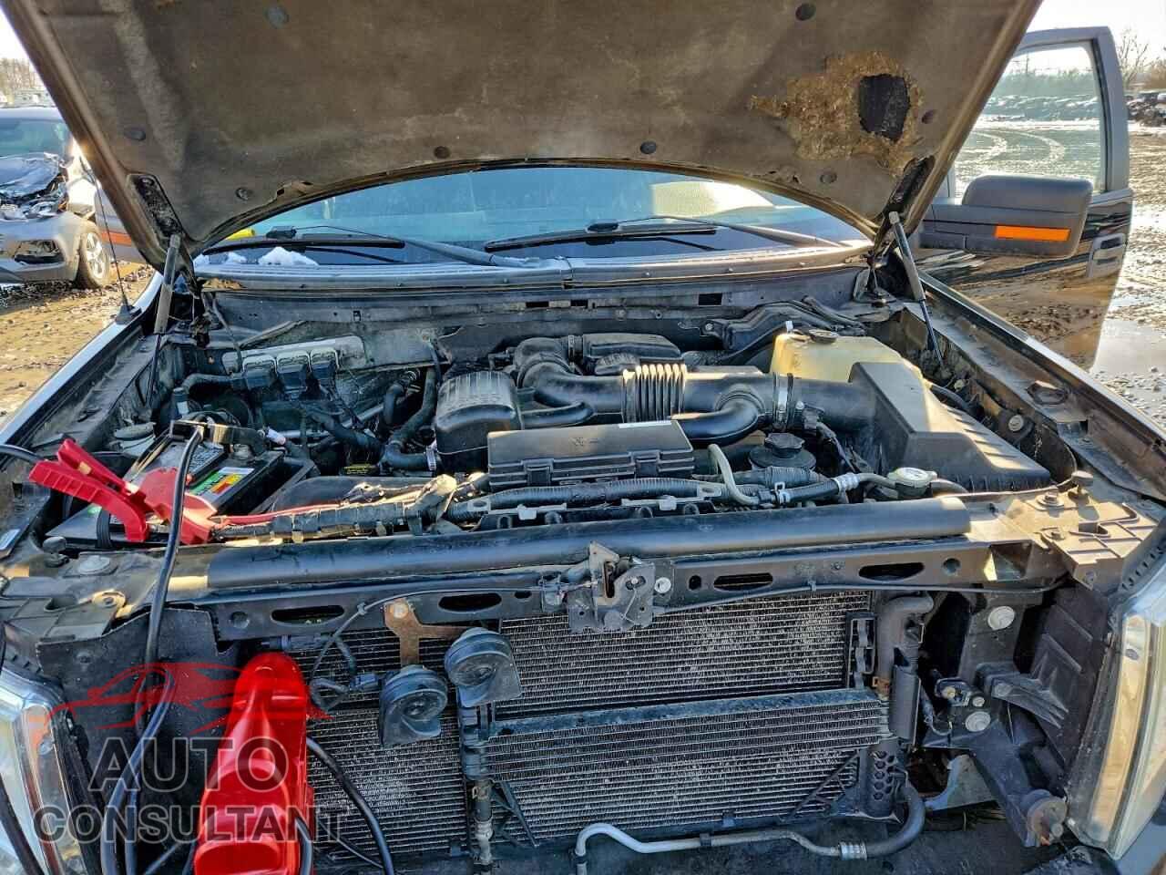 FORD F-150 2010 - 1FTFW1EV2AFD06196