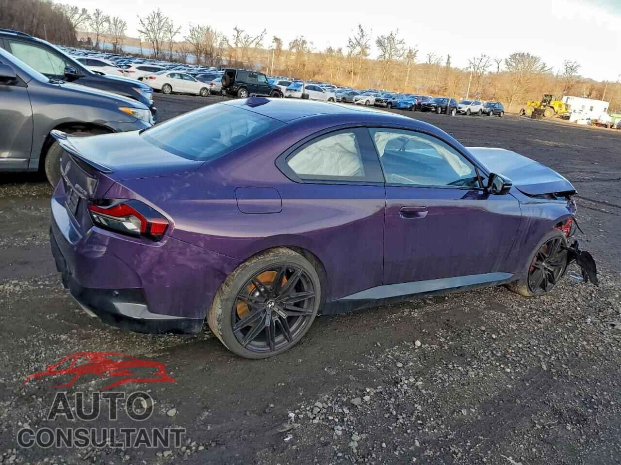 BMW M2 2024 - 3MW53CM07R8E36935