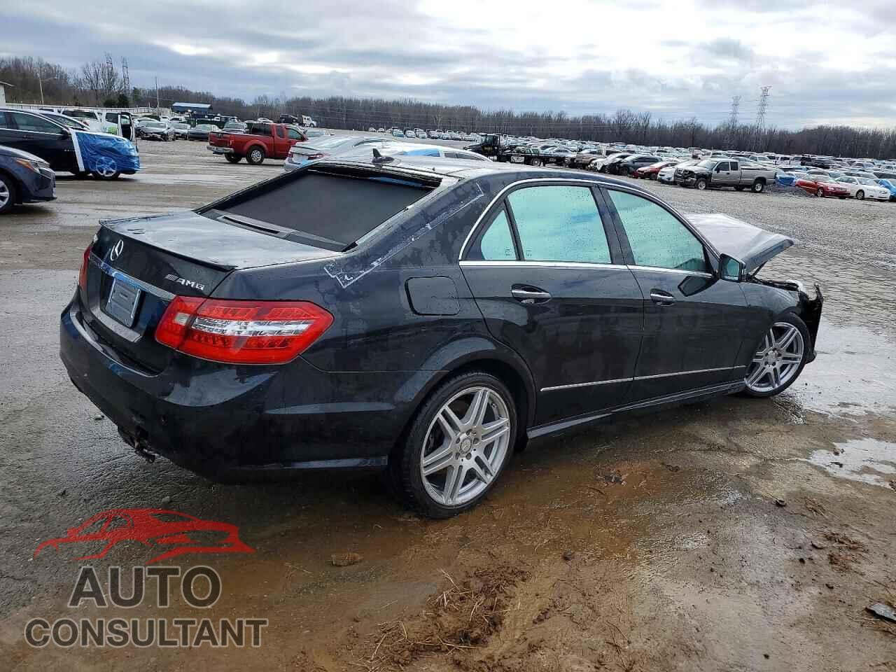 MERCEDES-BENZ E-CLASS 2010 - WDDHF7CB4AA211663
