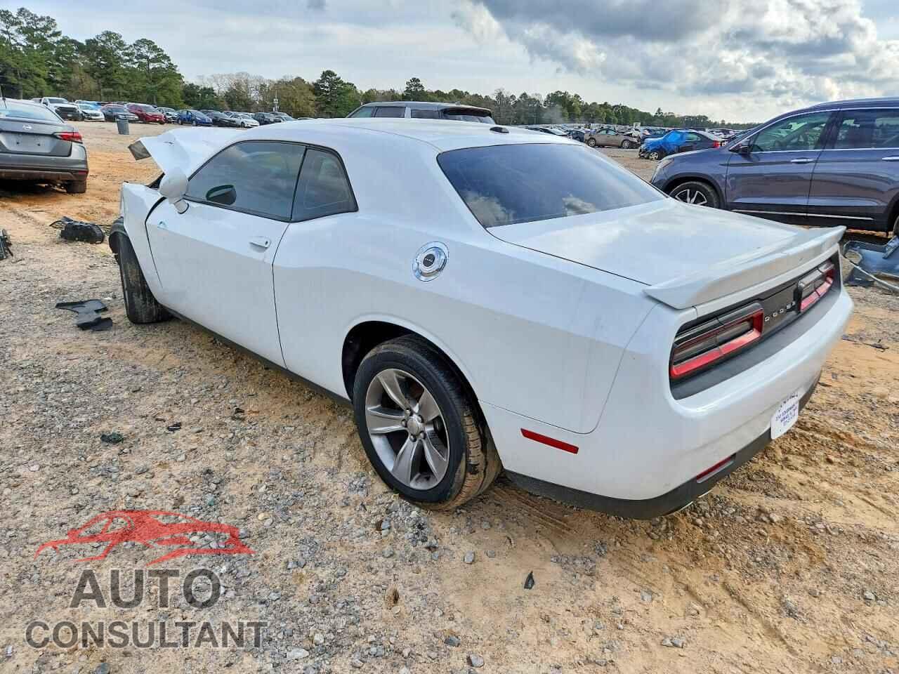 DODGE CHALLENGER 2019 - 2C3CDZAG2KH632311