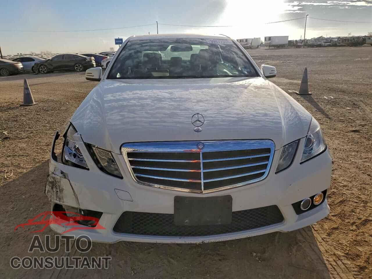 MERCEDES-BENZ E-CLASS 2010 - WDDHF5GB6AA089192
