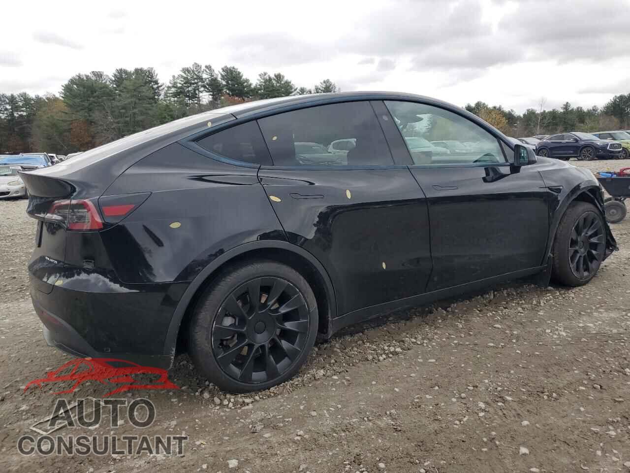 TESLA MODEL Y 2023 - 7SAYGAEEXPF842044