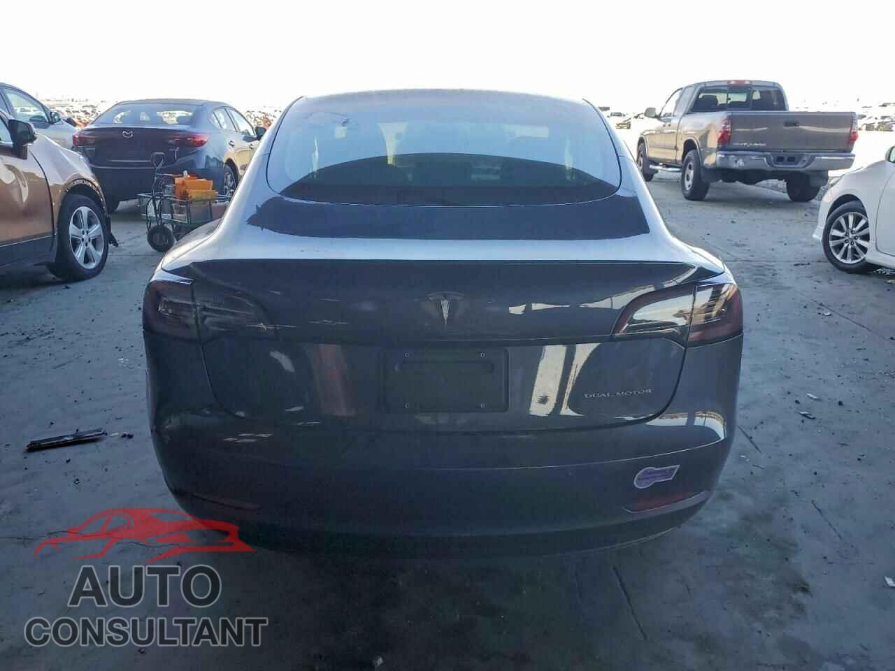 TESLA MODEL 3 2019 - 5YJ3E1EB0KF385921