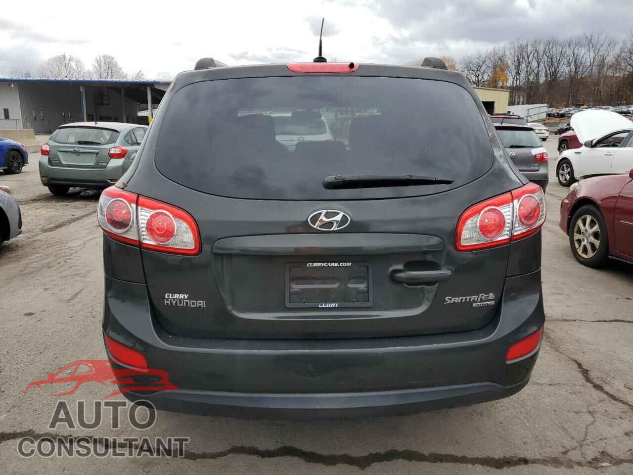 HYUNDAI SANTA FE 2010 - 5NMSGDAB5AH376478