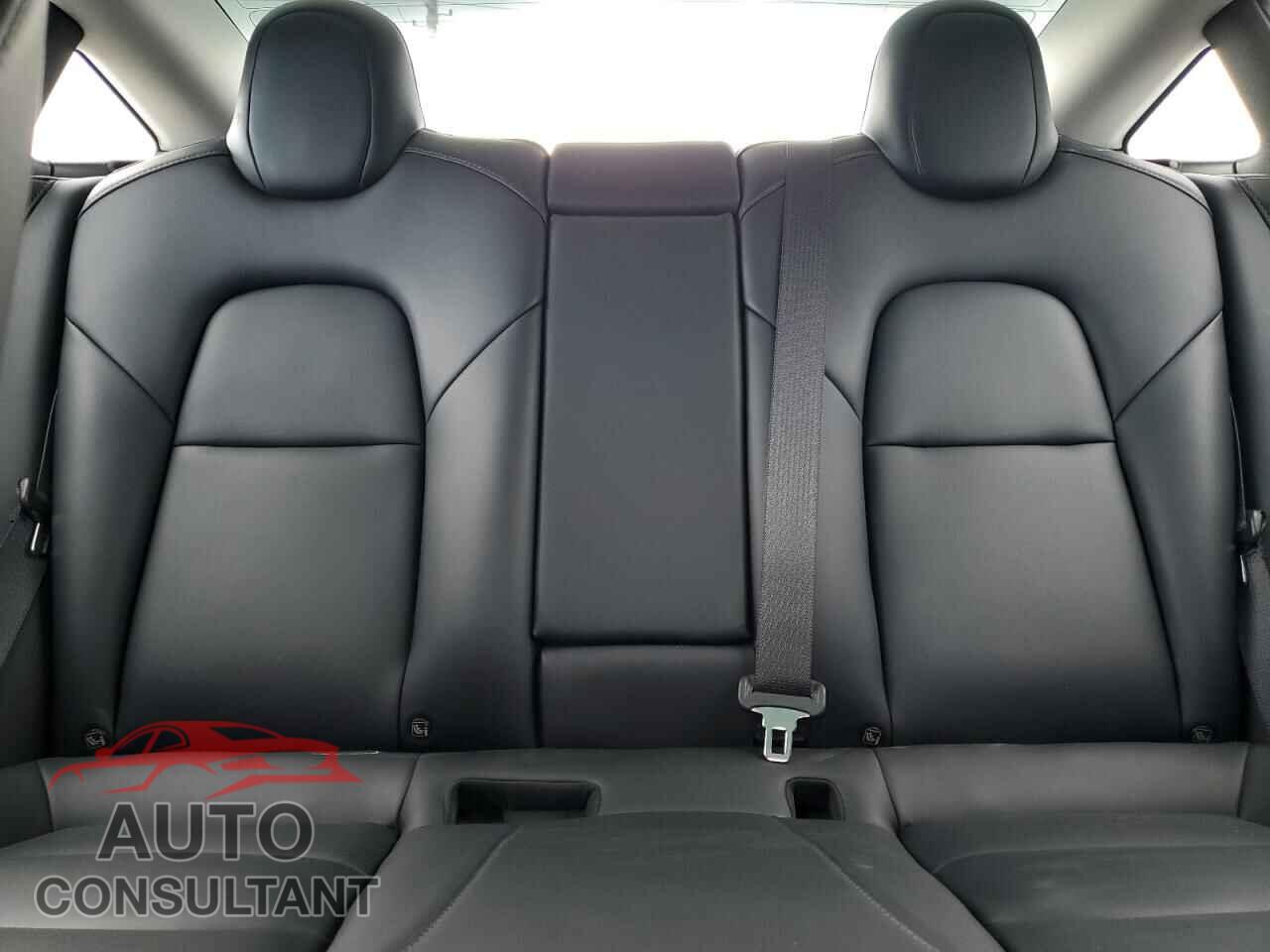 TESLA MODEL 3 2019 - 5YJ3E1EB0KF384784