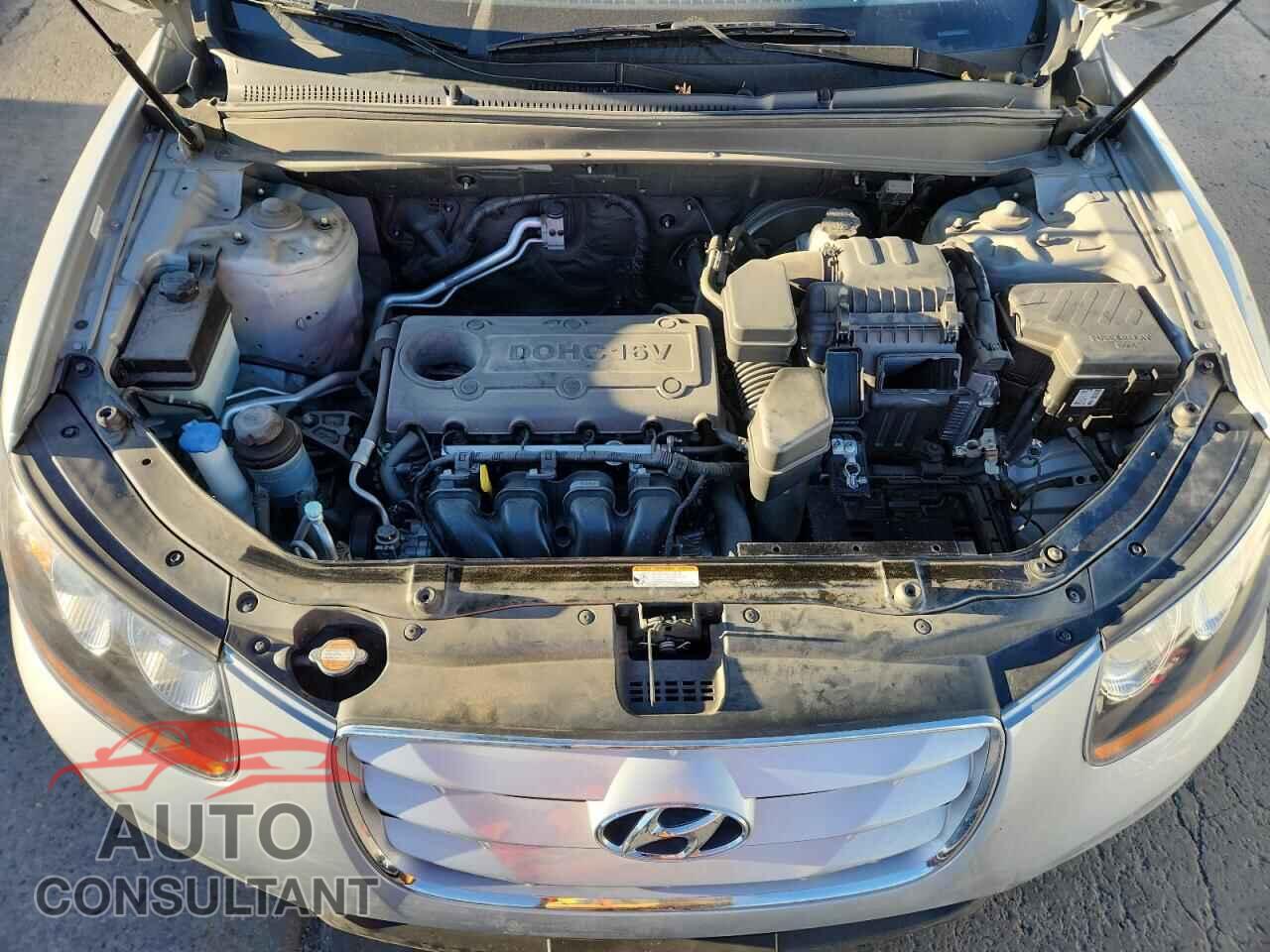 HYUNDAI SANTA FE 2010 - 5NMSGDAB9AH403682