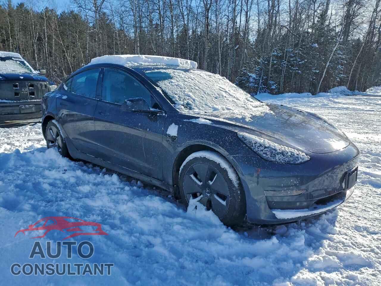 TESLA MODEL 3 2023 - LRW3E1FA2PC891743