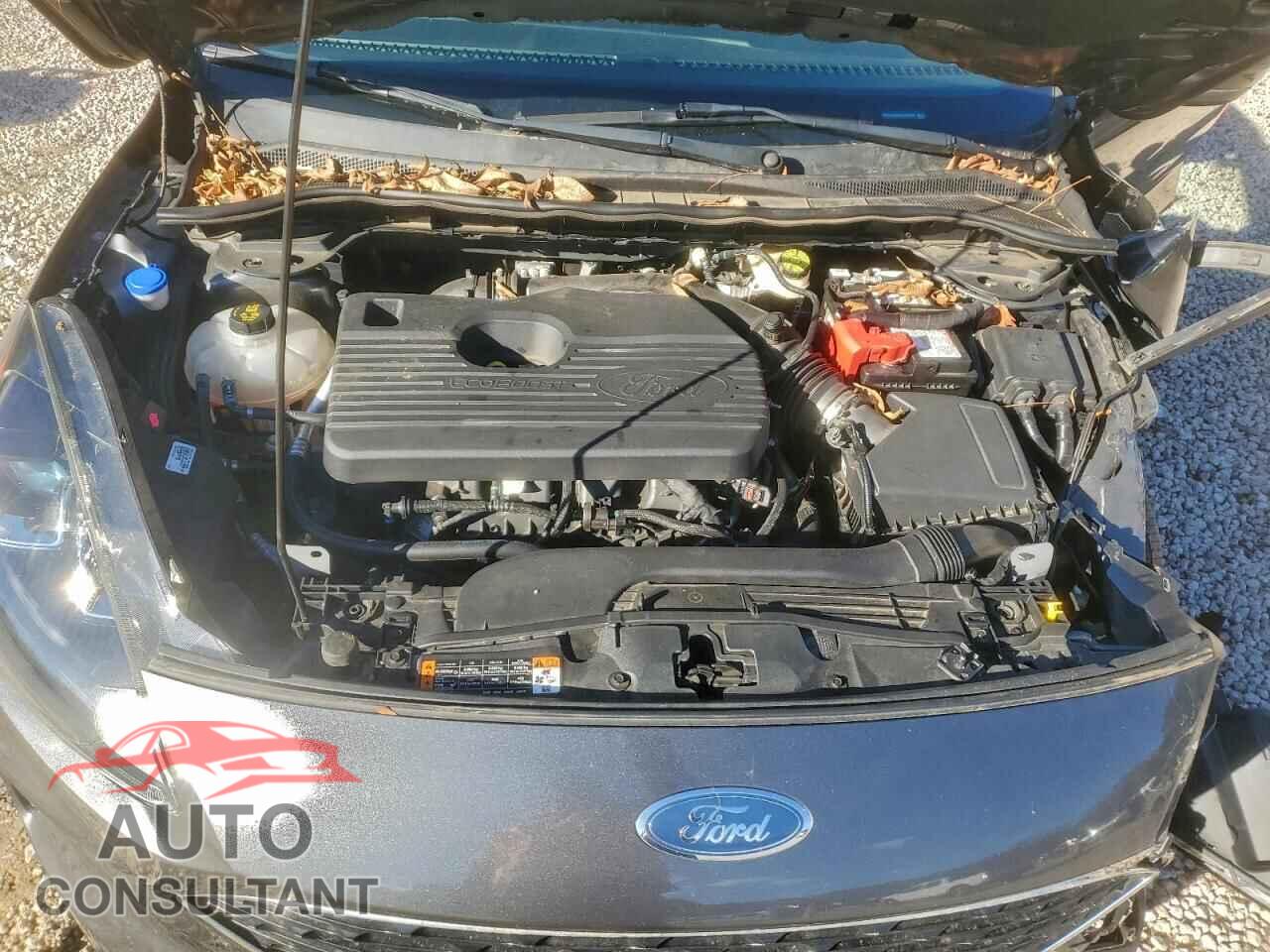 FORD ESCAPE 2020 - 1FMCU9H99LUA39459