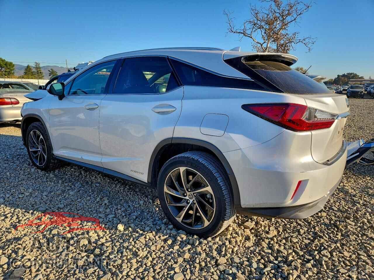 LEXUS RX450 2019 - 2T2BGMCA4KC036312