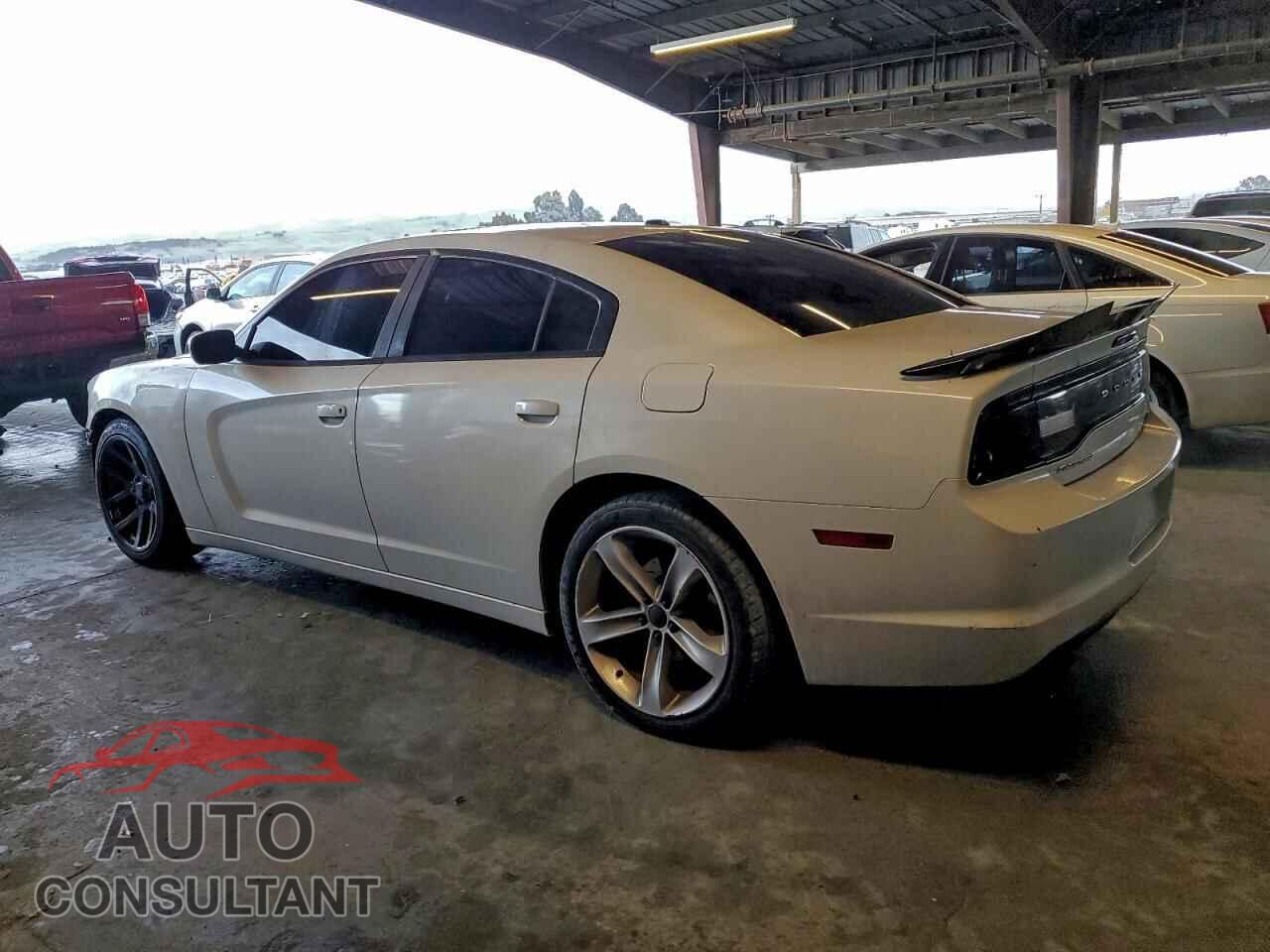 DODGE CHARGER 2014 - 2C3CDXCT1EH165689