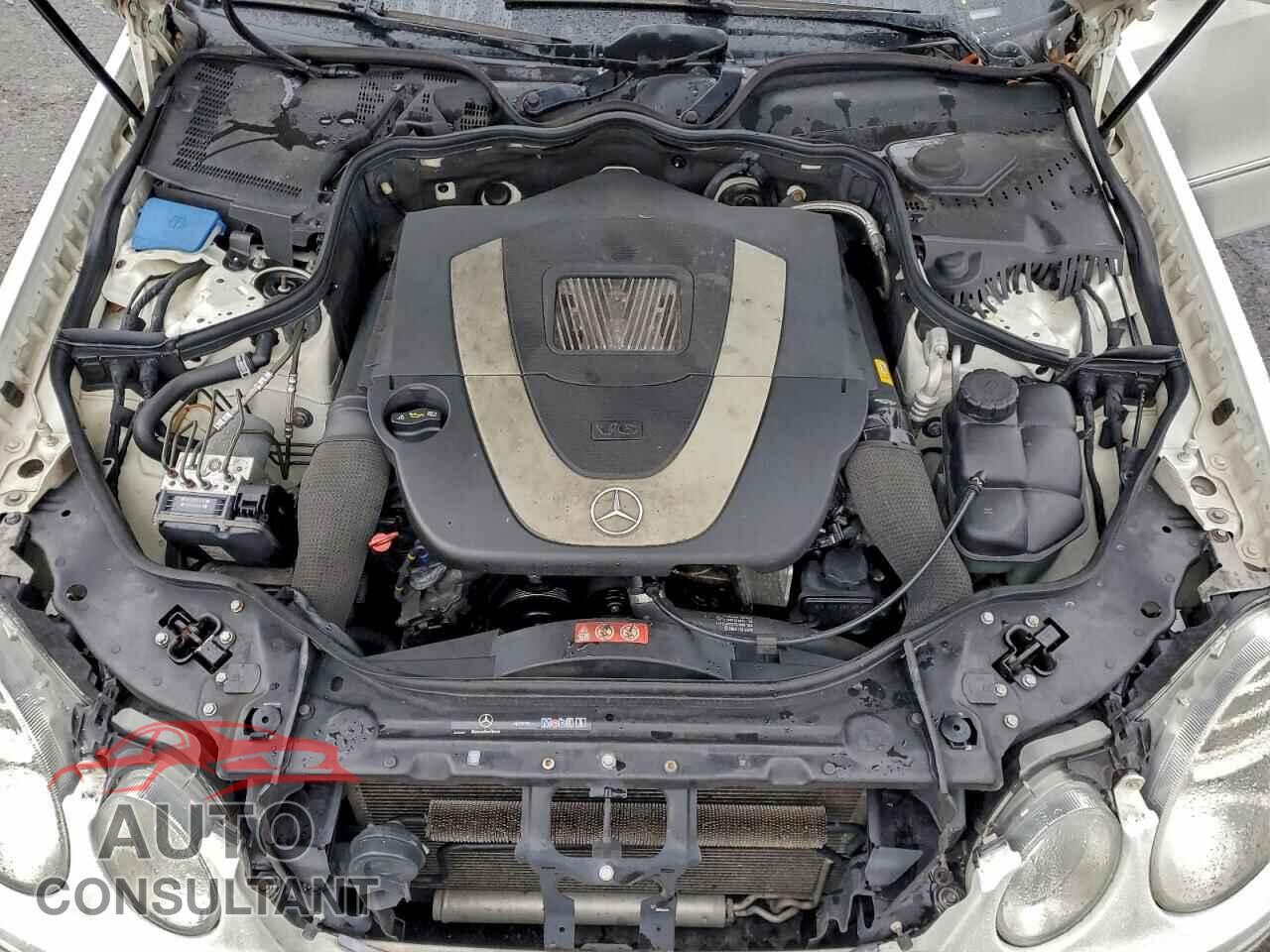 MERCEDES-BENZ E-CLASS 2009 - WDBUF87XX9B369207