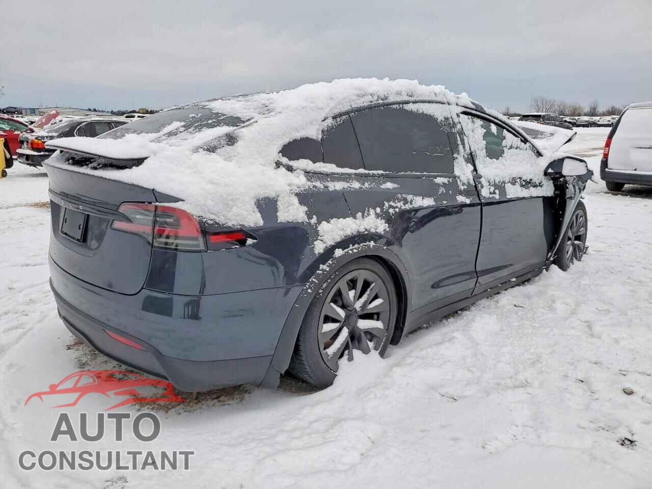 TESLA MODEL X 2024 - 7SAXCDE54RF445506