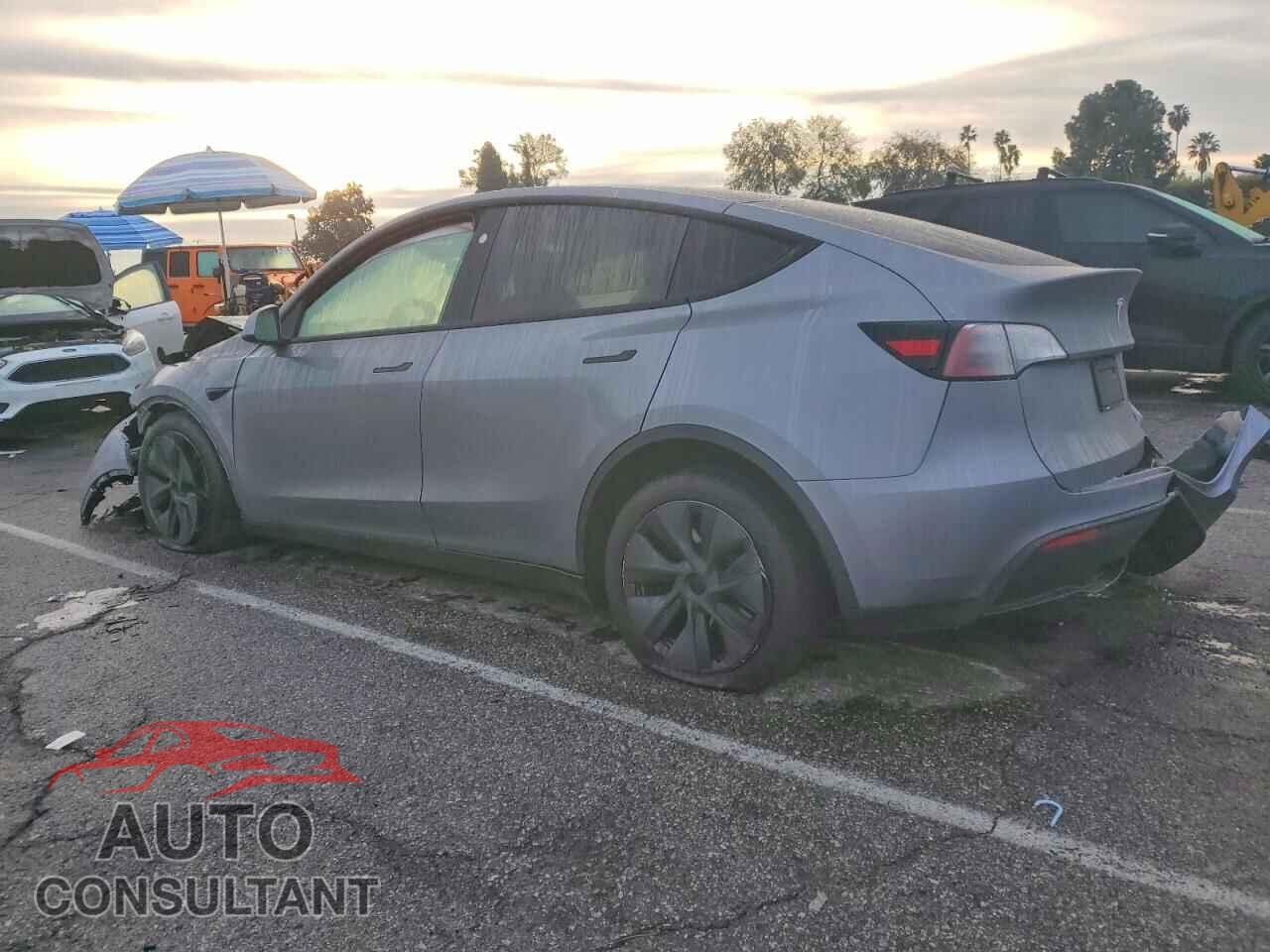 TESLA MODEL Y 2024 - 7SAYGDED1RF194301