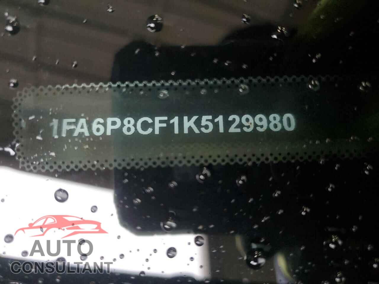 FORD MUSTANG 2019 - 1FA6P8CF1K5129980