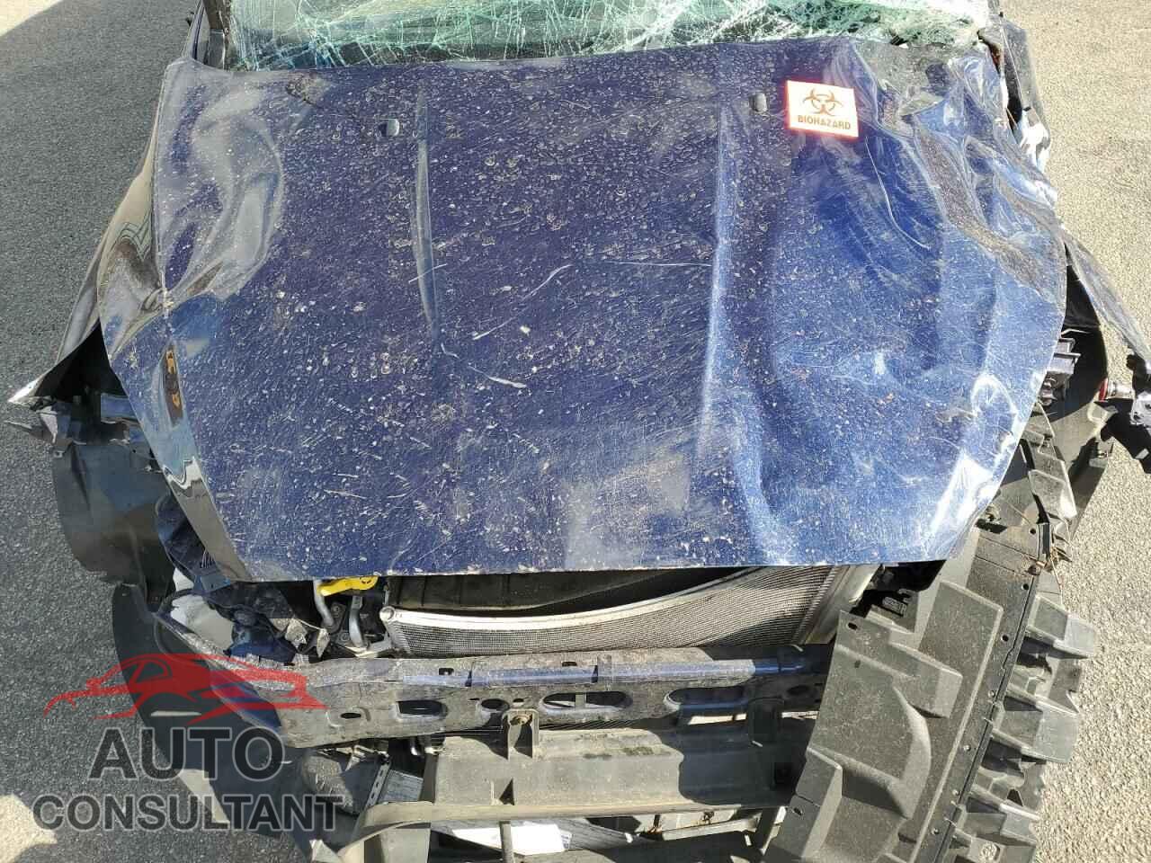 FORD FOCUS 2017 - 1FADP3L90HL234096