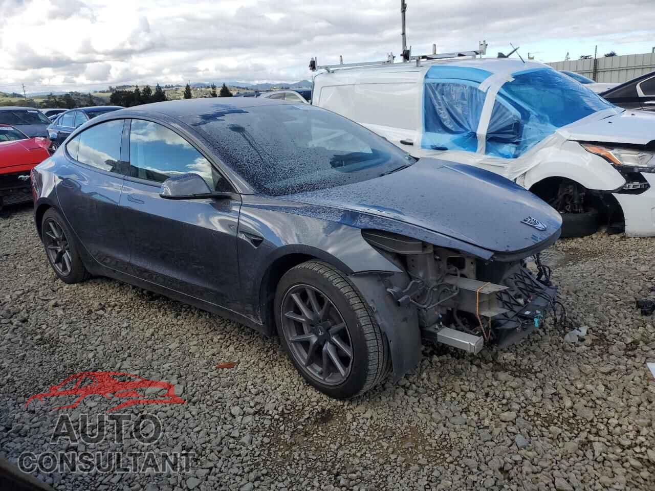 TESLA MODEL 3 2021 - 5YJ3E1EA4MF023925