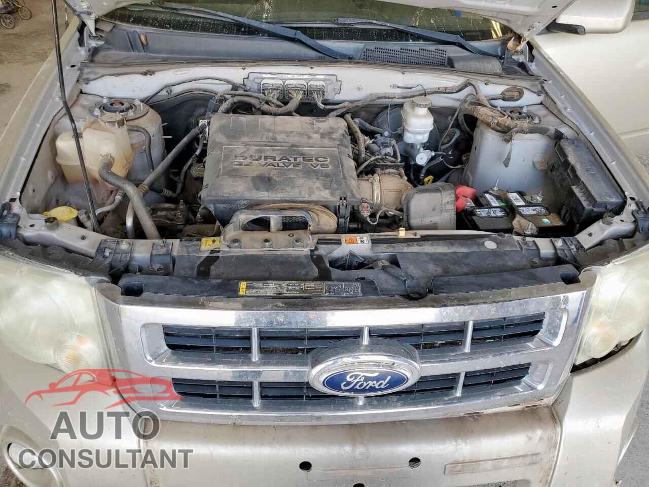 FORD ESCAPE 2011 - 1FMCU0EG8BKB26620