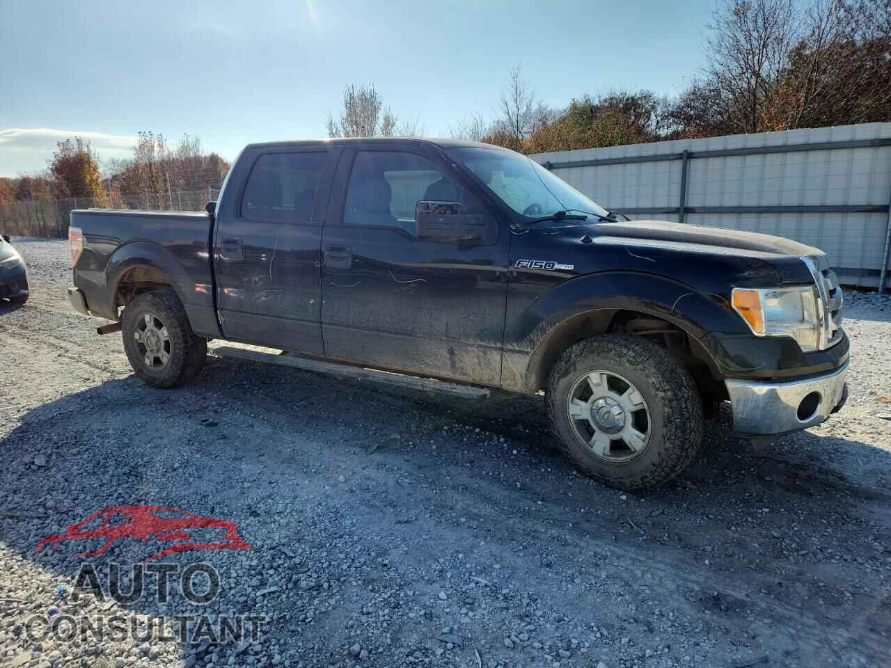 FORD F-150 2012 - 1FTFW1CF4CKD17819