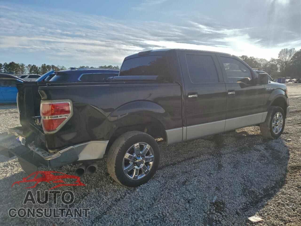 FORD F-150 2013 - 1FTFW1CF8DFD53183