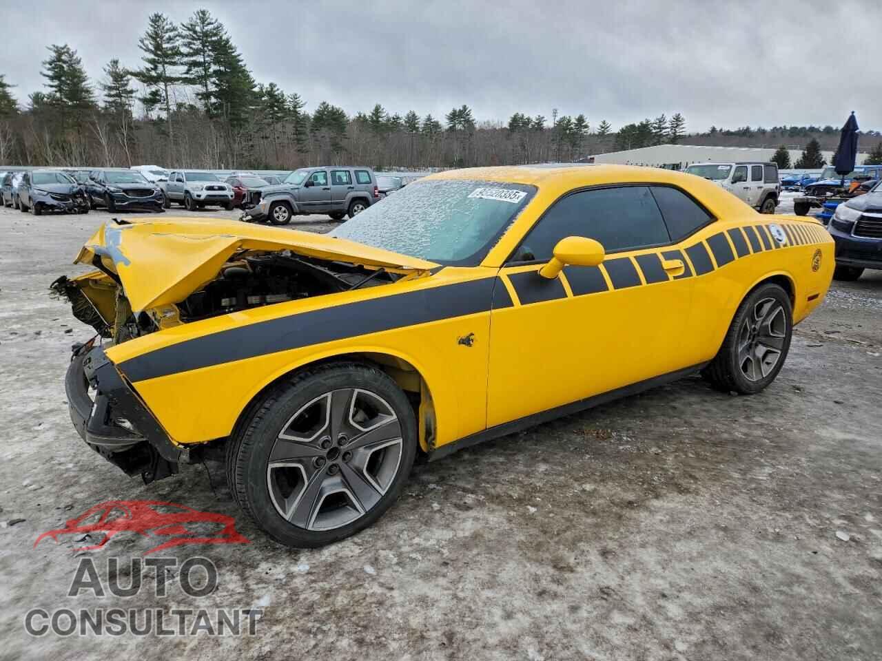 DODGE CHALLENGER 2012 - 2C3CDYBT7CH315941