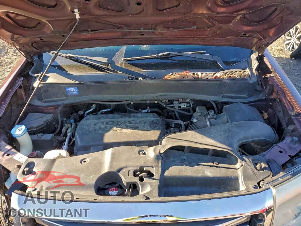 HONDA PILOT 2013 - 5FNYF4H50DB082246