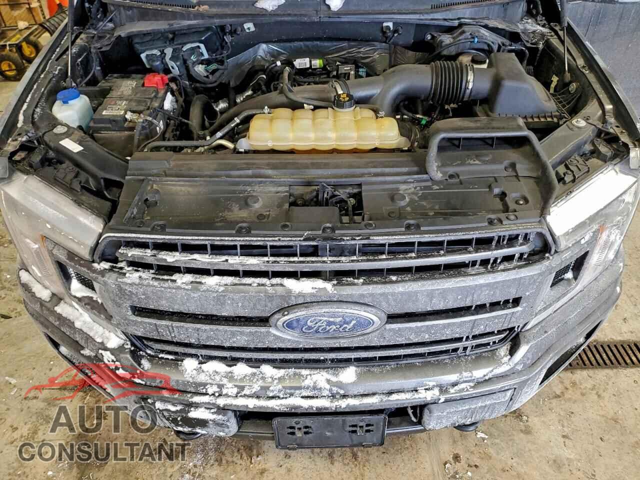 FORD F-150 2019 - 1FTEW1EP1KFC56325