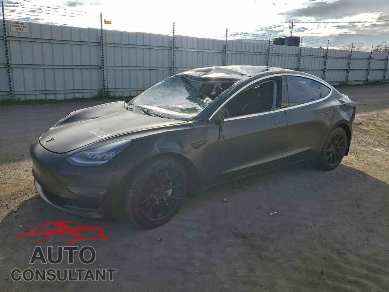 TESLA MODEL 3 2019 - 5YJ3E1EB3KF385119