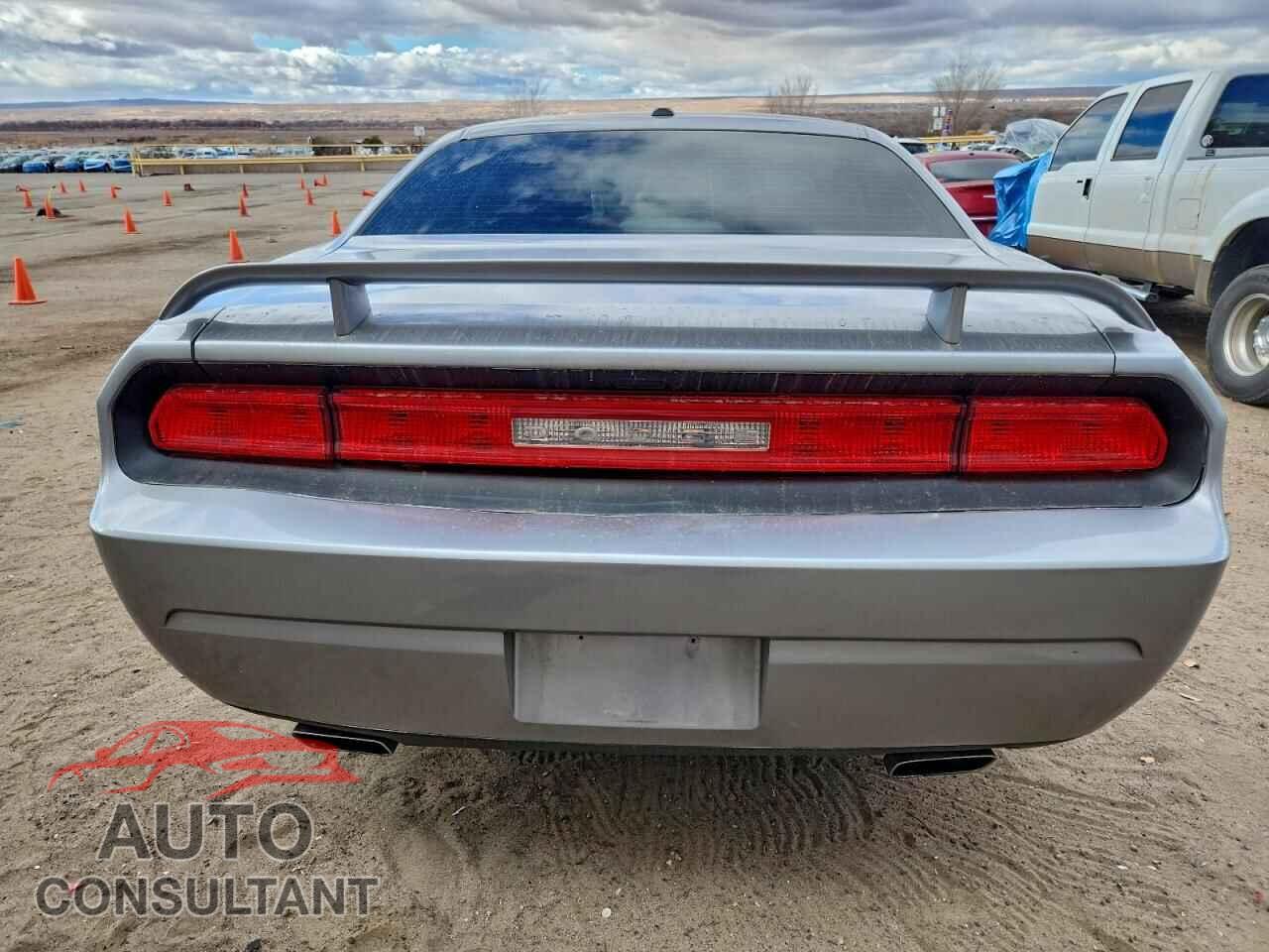 DODGE CHALLENGER 2014 - 2C3CDYBT2EH184503