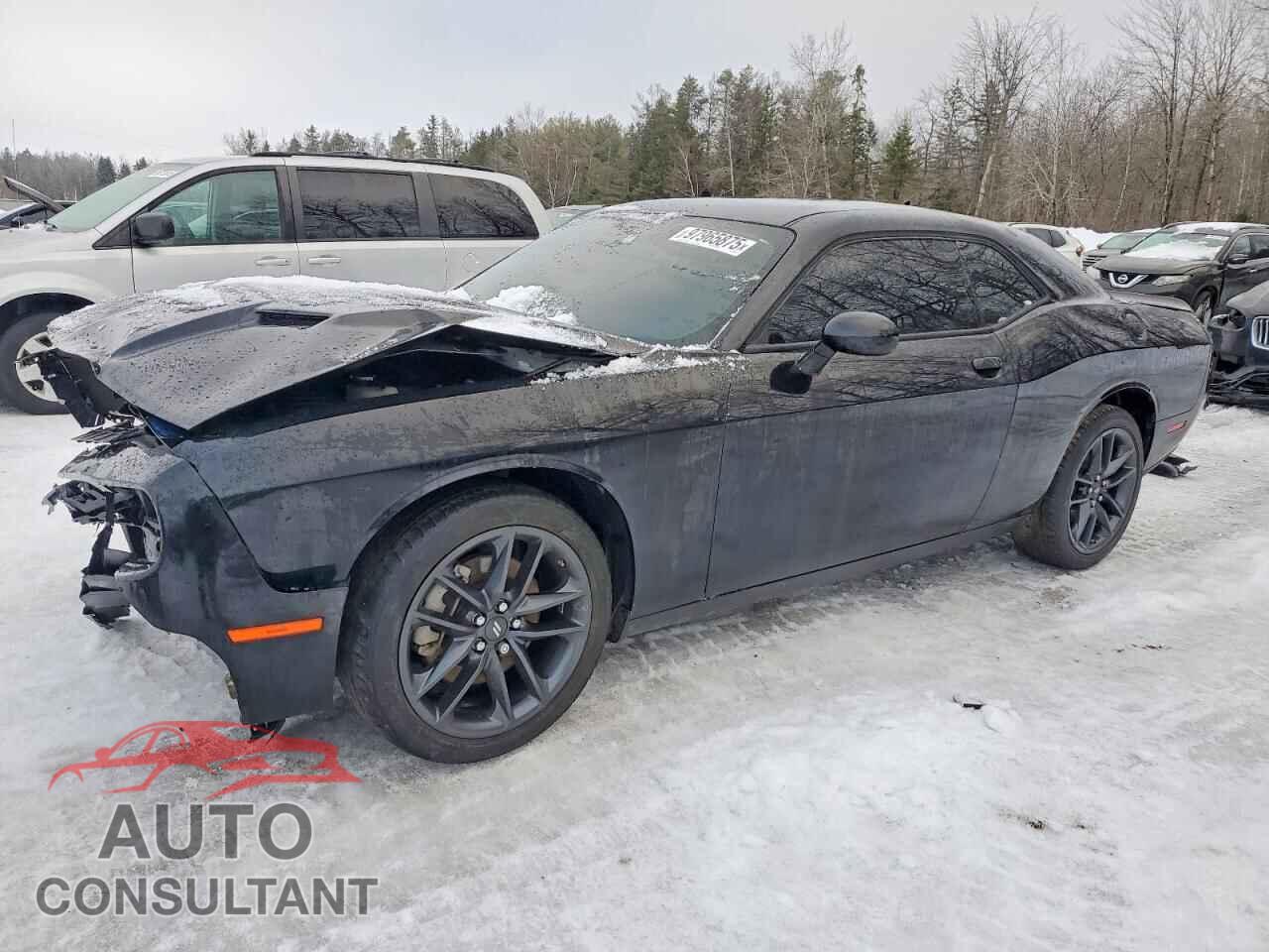 DODGE CHALLENGER 2023 - 2C3CDZGG2PH696895
