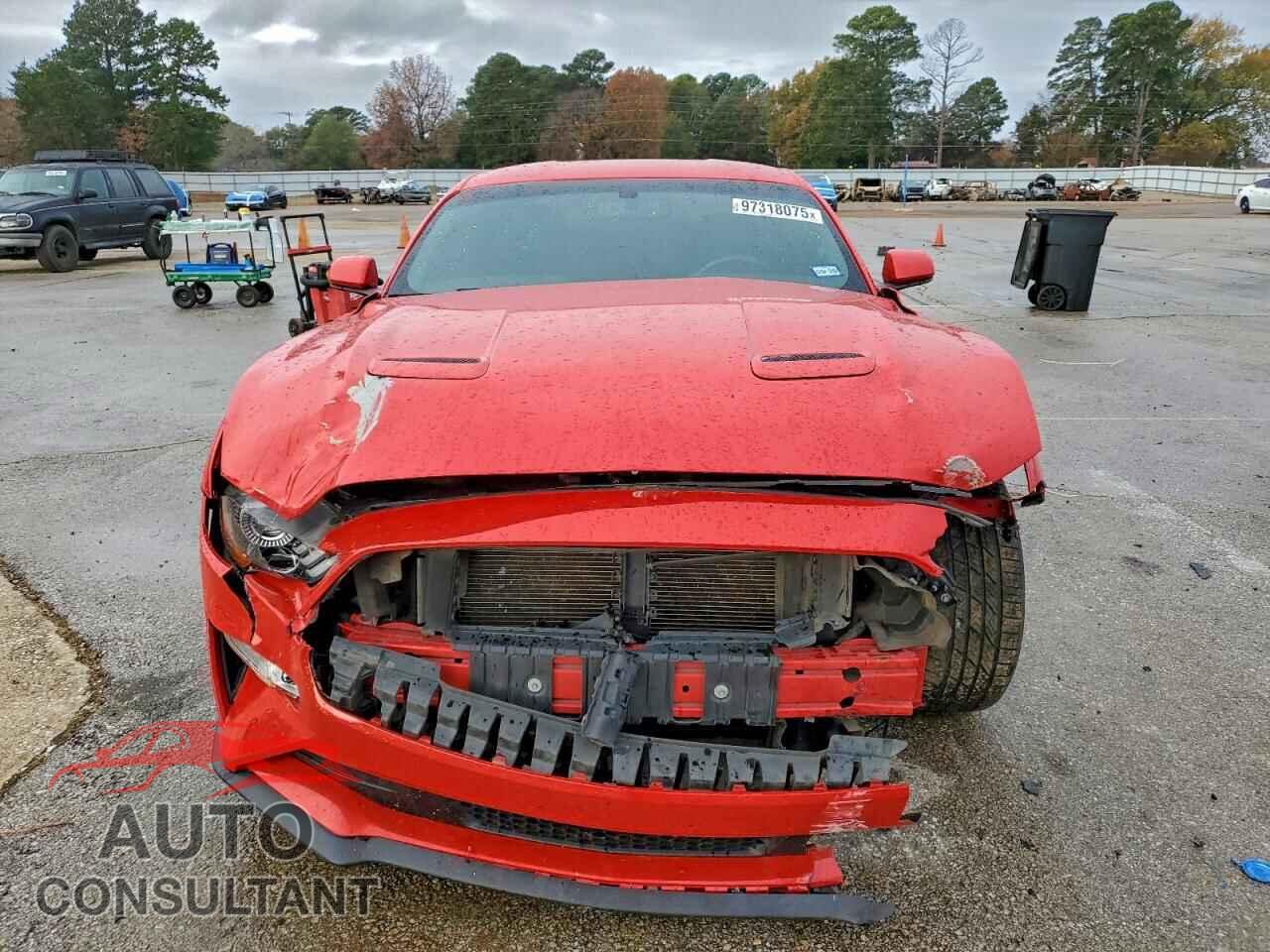 FORD MUSTANG 2019 - 1FA6P8CF1K5118381
