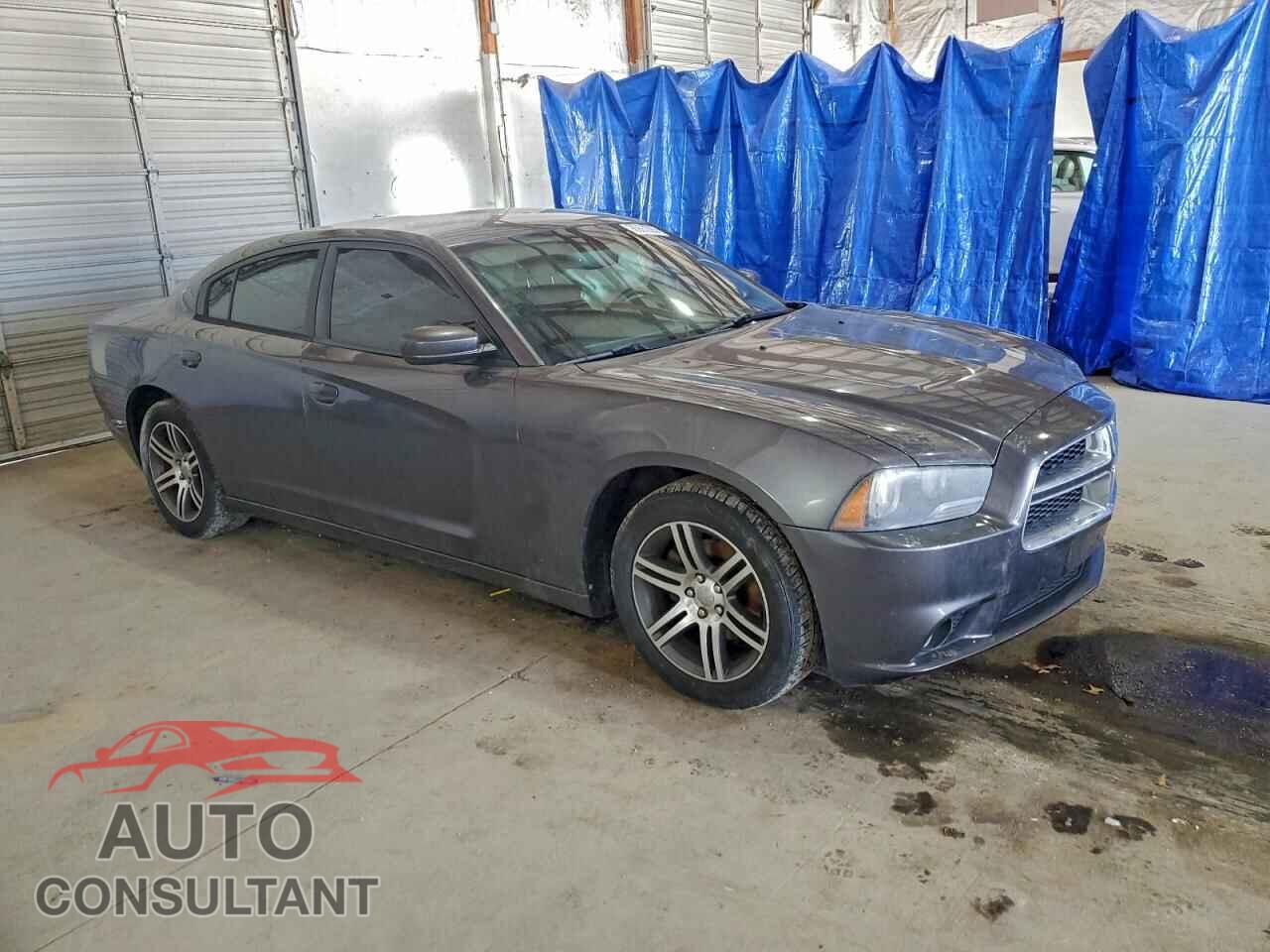 DODGE CHARGER 2014 - 2C3CDXHG0EH328831