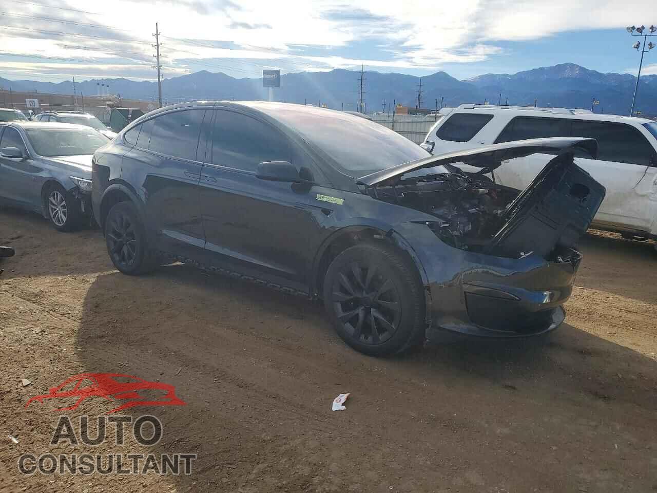 TESLA MODEL X 2024 - 7SAXCDE52RF450929