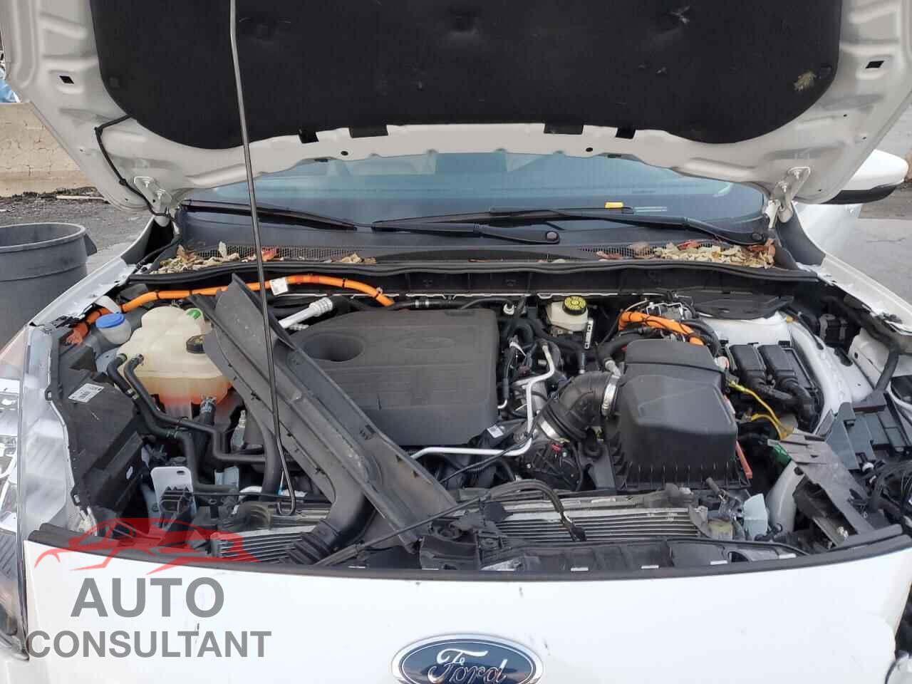 FORD ESCAPE 2020 - 1FMCU0DZXLUA68888