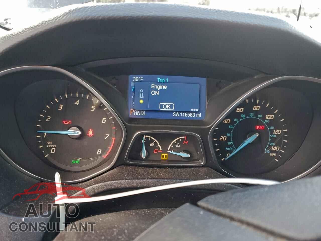 FORD FOCUS 2014 - 1FADP3F29EL445842