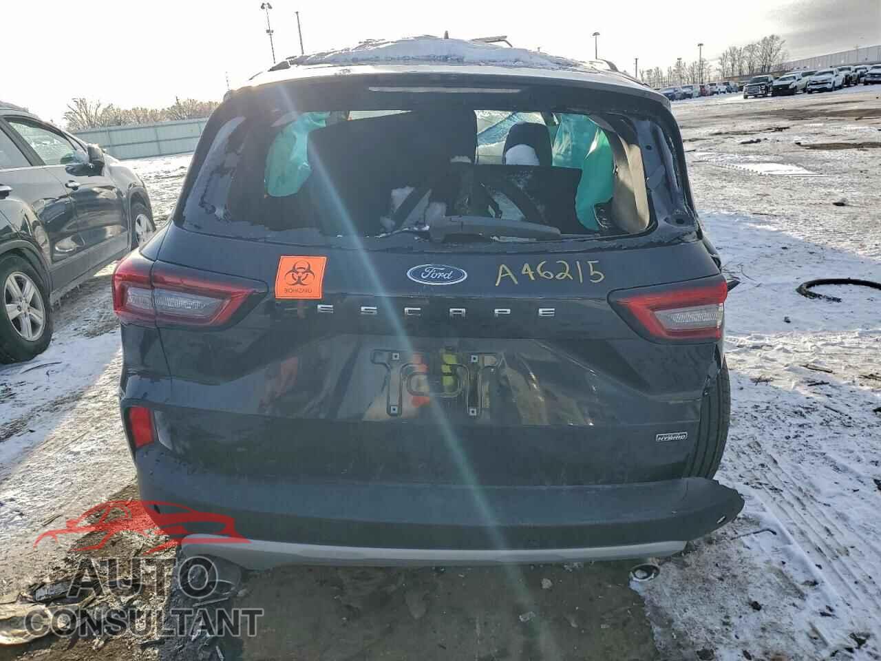FORD ESCAPE 2025 - 1FMCU0E14SUA46215