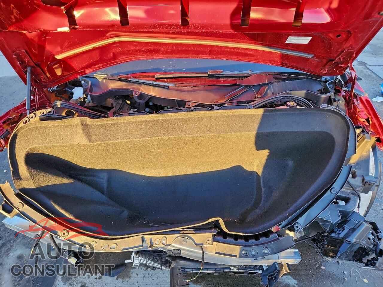 TESLA MODEL X 2024 - 7SAXCBE69RF449502