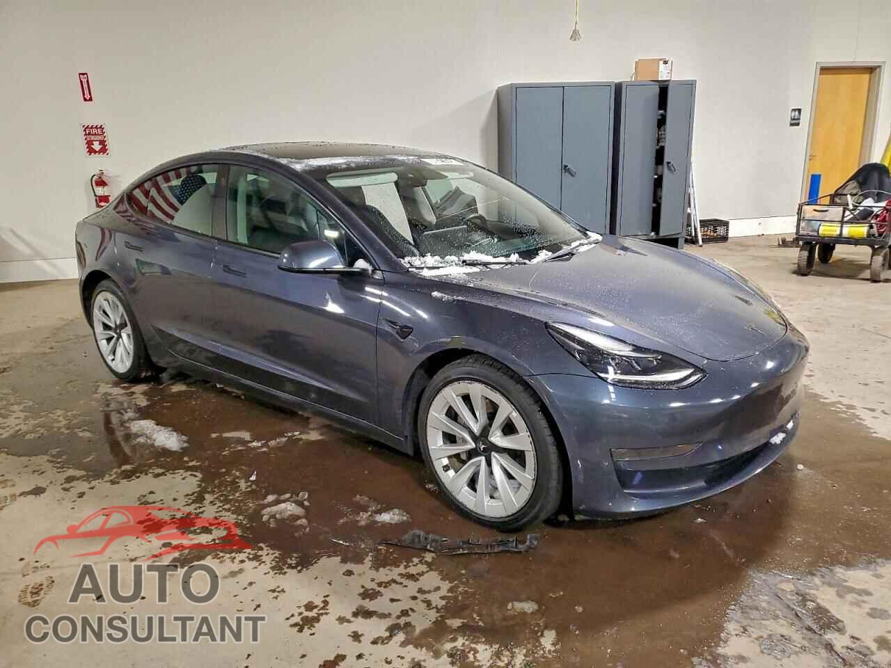 TESLA MODEL 3 2023 - 5YJ3E1EA1PF446921