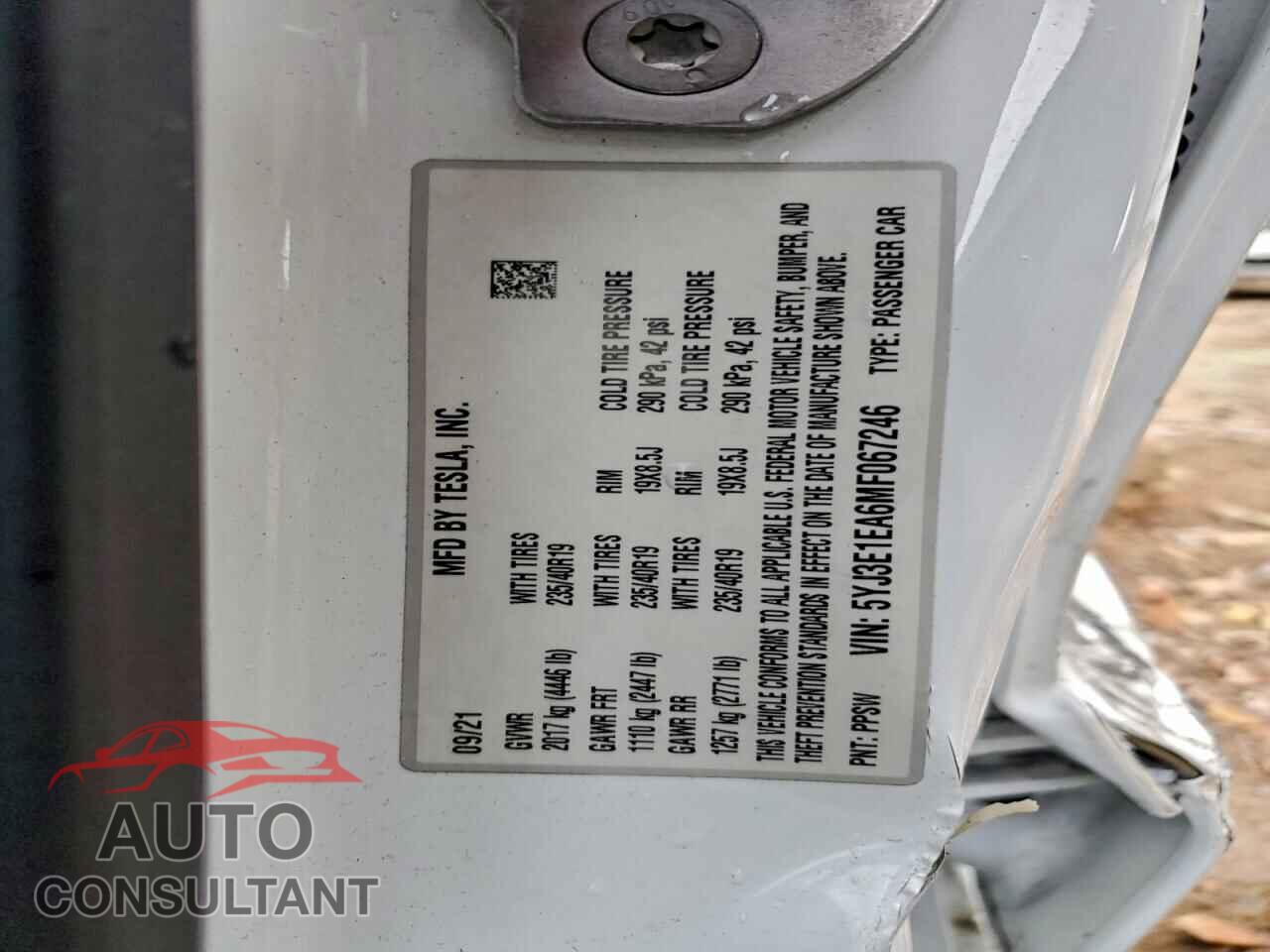 TESLA MODEL 3 2021 - 5YJ3E1EA6MF067246