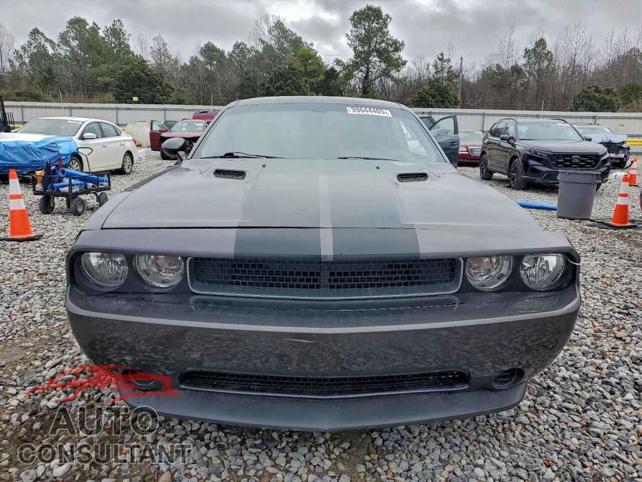 DODGE CHALLENGER 2014 - 2C3CDYAG0EH204056