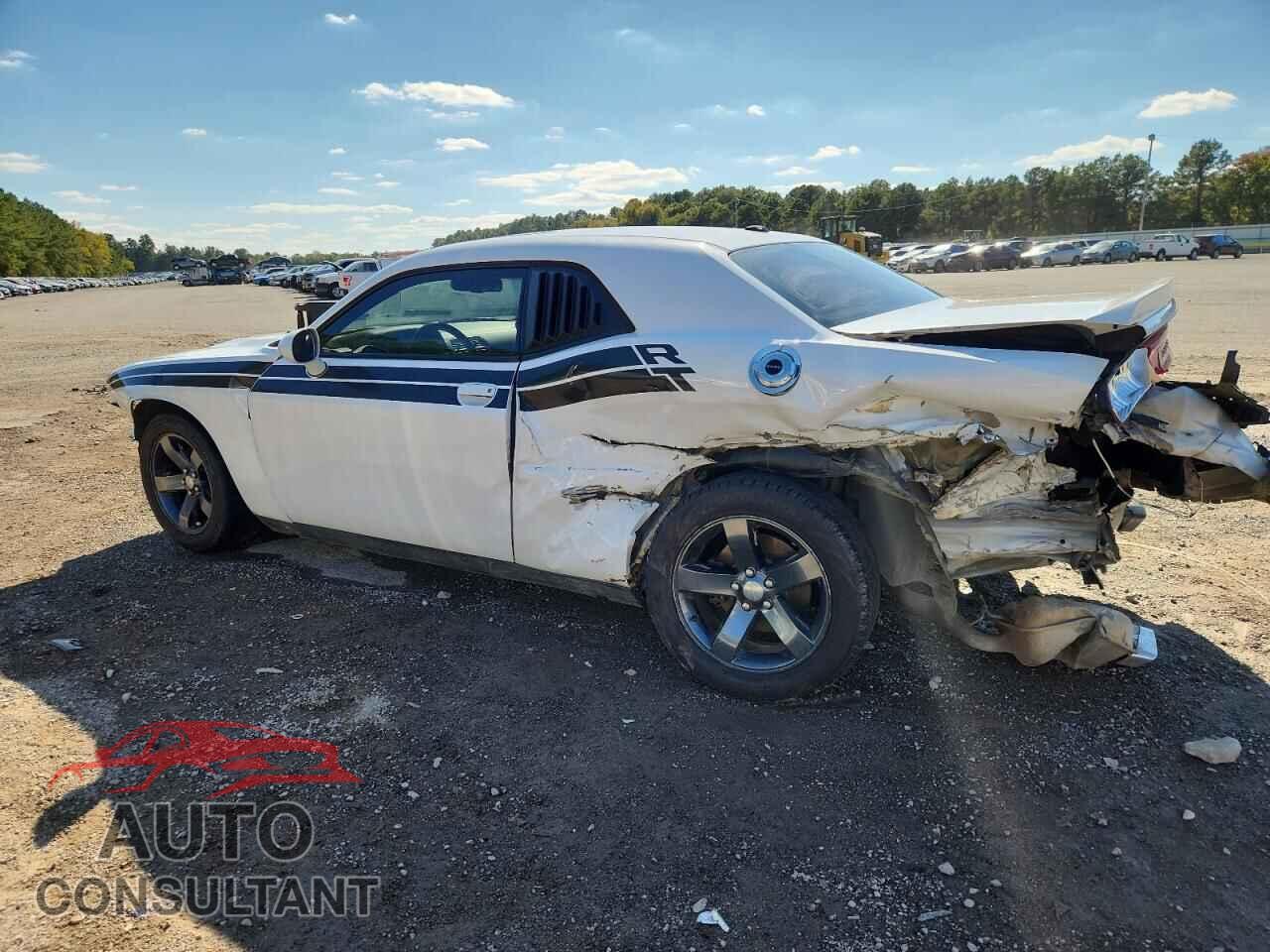 DODGE CHALLENGER 2013 - 2C3CDYAG9DH515824