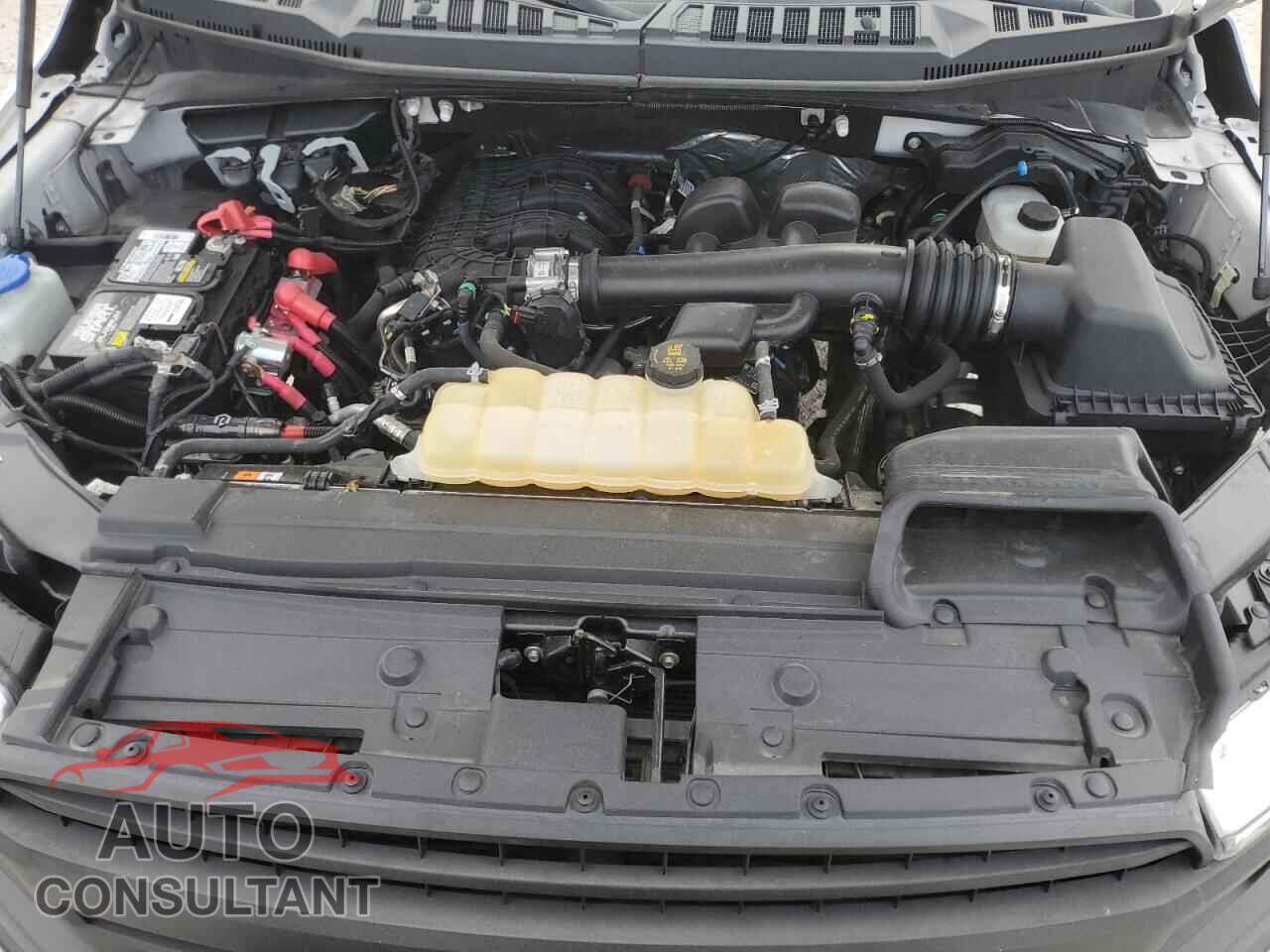 FORD F-150 2020 - 1FTEW1EB9LFA29986