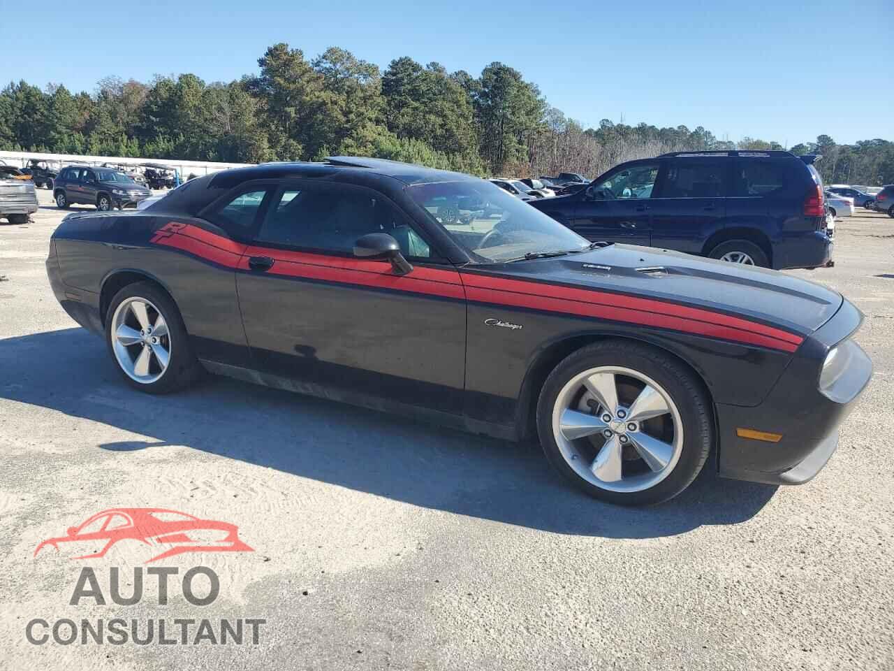 DODGE CHALLENGER 2014 - 2C3CDYBT9EH142572