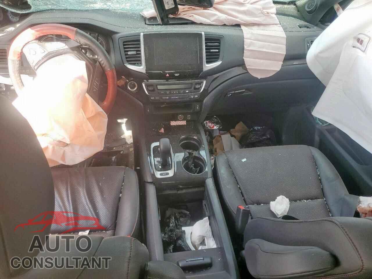 HONDA RIDGELINE 2019 - 5FPYK3F80KB022247
