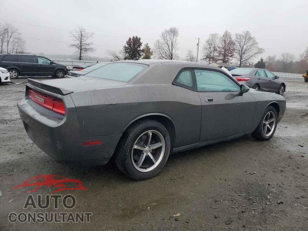 DODGE CHALLENGER 2010 - 2B3CJ4DV7AH260157