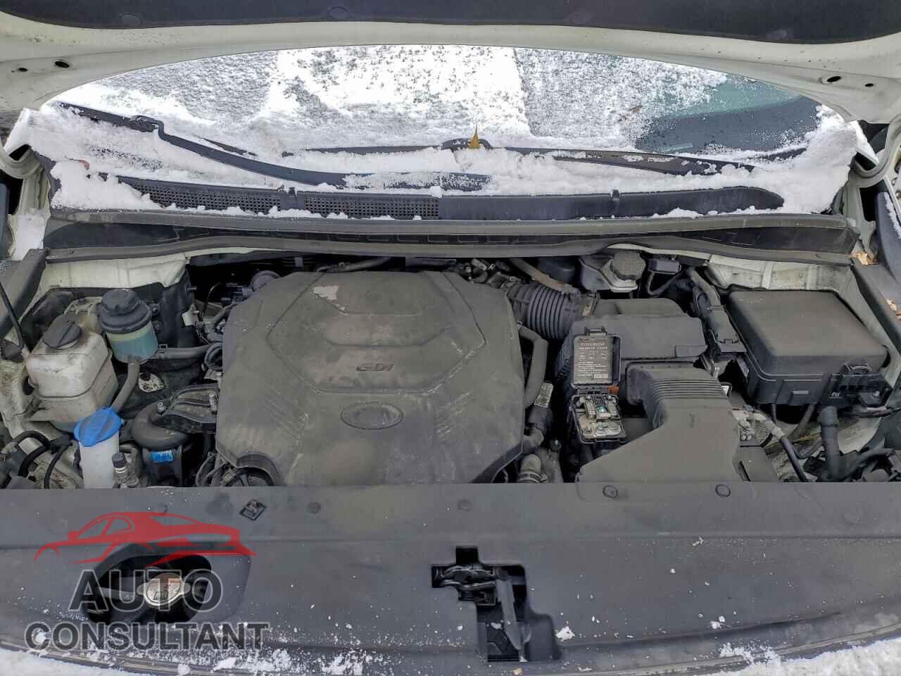 KIA All Models 2019 - KNDMB5C19K6506892
