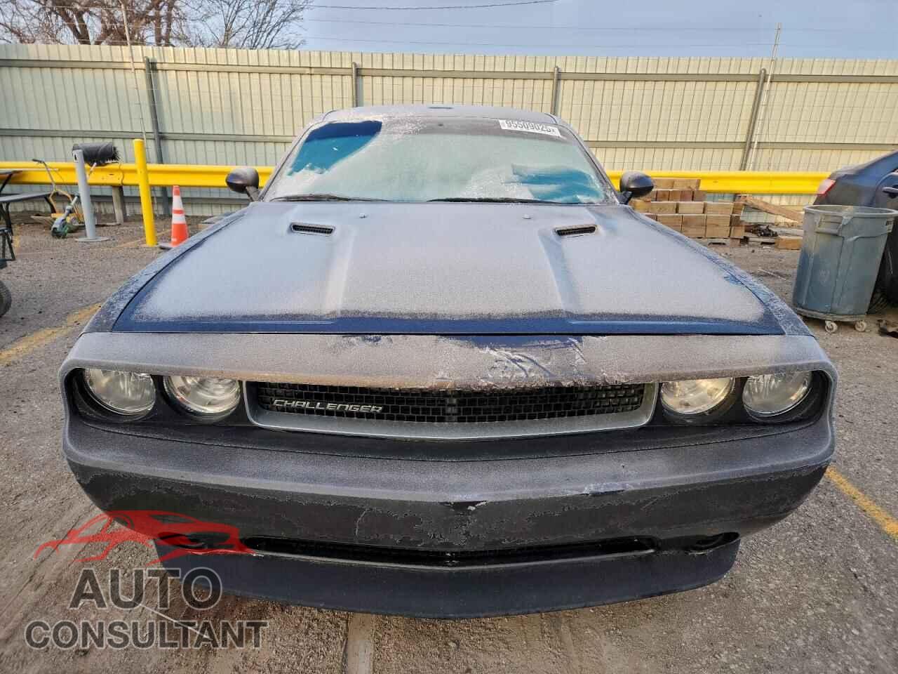 DODGE CHALLENGER 2013 - 2C3CDYAG3DH553775