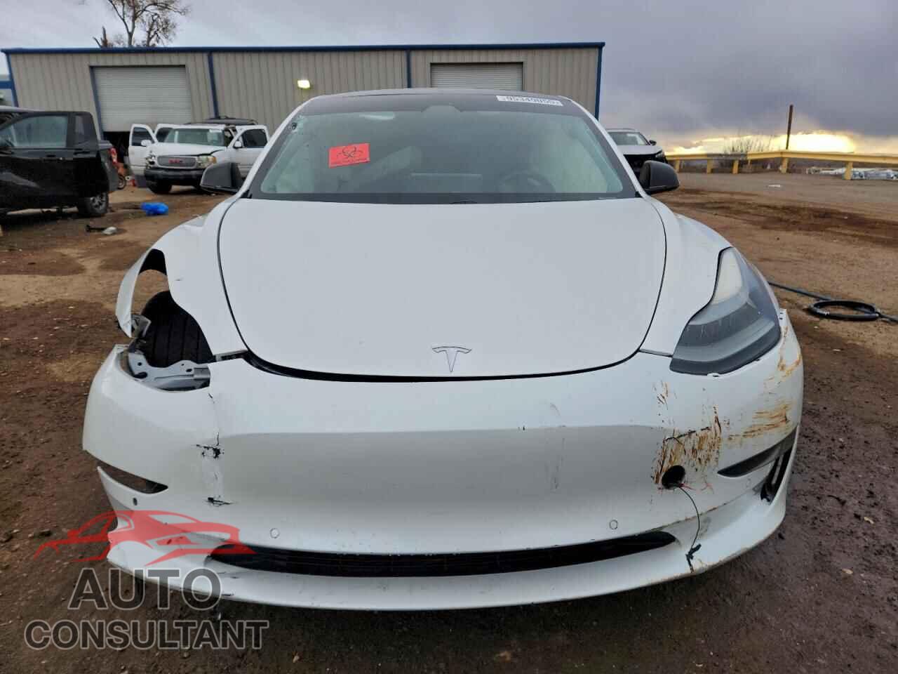 TESLA MODEL 3 2021 - 5YJ3E1EA0MF043802