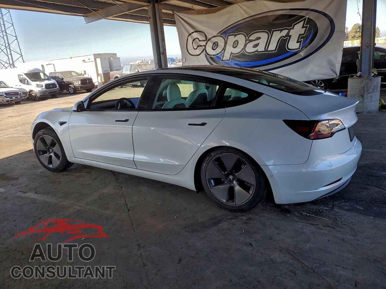 TESLA MODEL 3 2021 - 5YJ3E1EA3MF000667