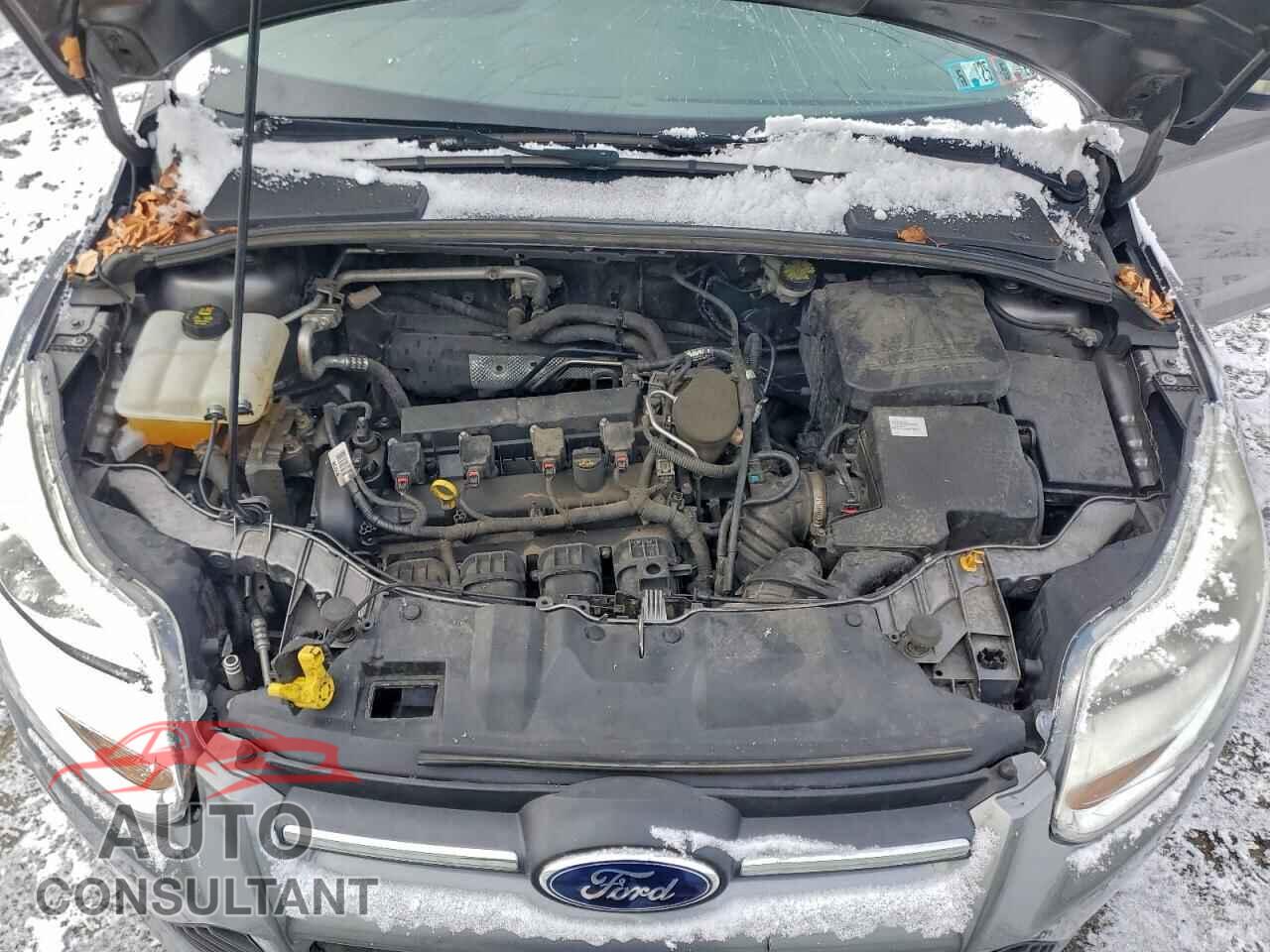 FORD FOCUS 2014 - 1FADP3F25EL424731