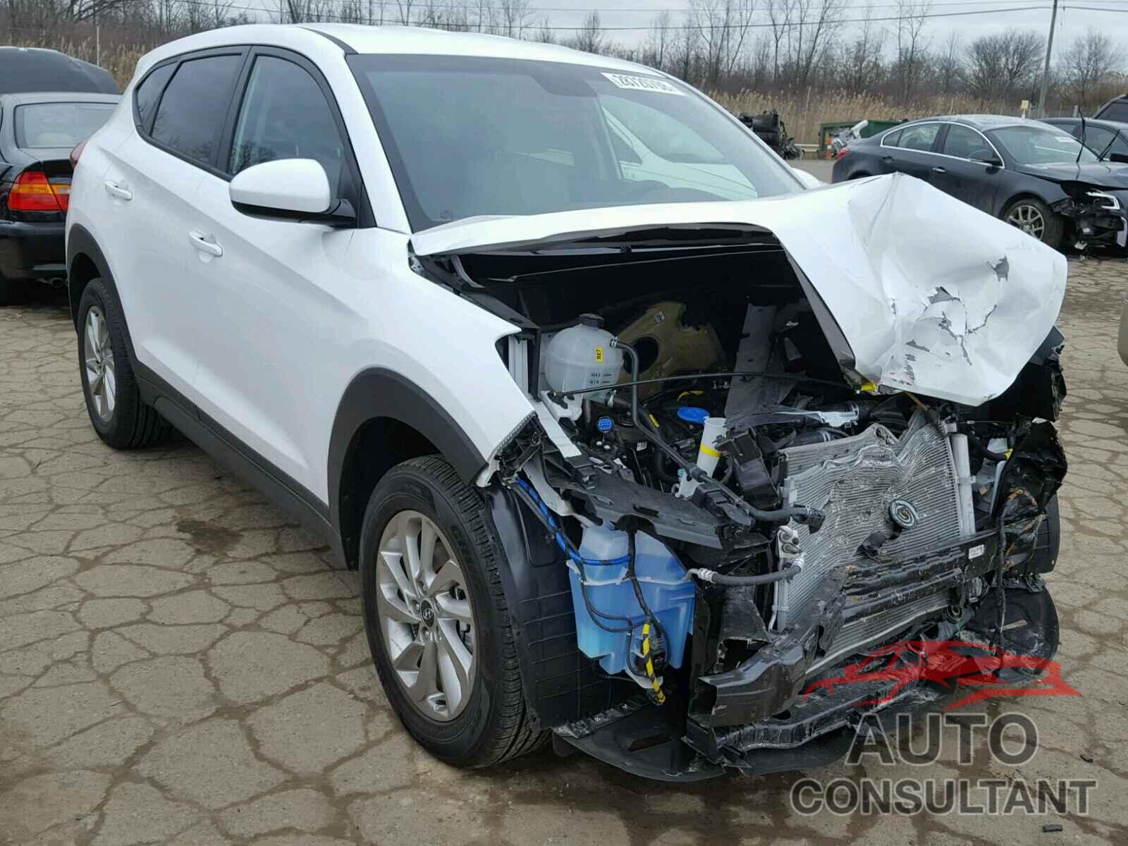 HYUNDAI TUCSON 2017 - KM8J23A42HU391573